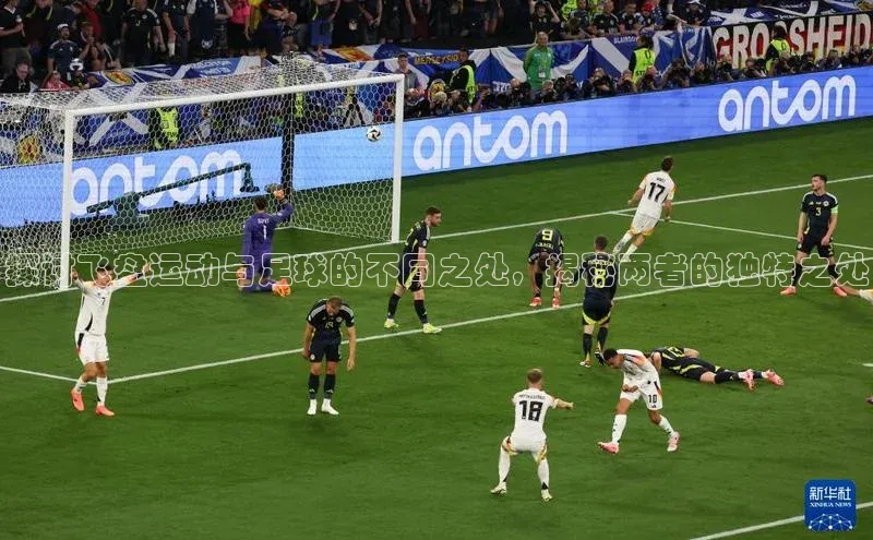 天辰平台官网登录入口百度学术探讨飞盘运动与足球的不同之处，揭秘两者的独特之处