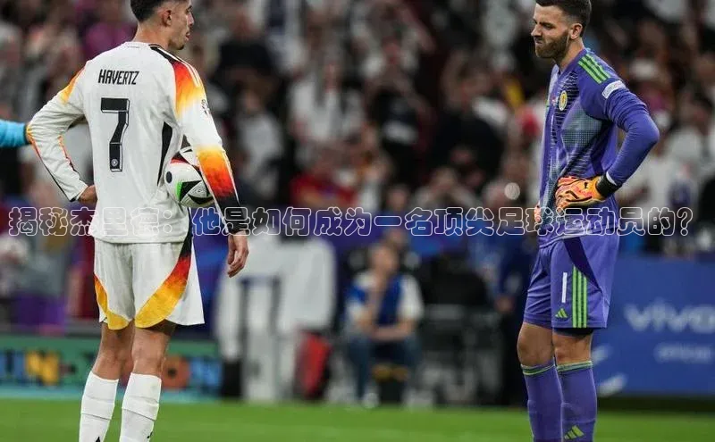 天辰平台用户登录入口华策影视揭秘杰里德：他是如何成为一名顶尖足球运动员的？