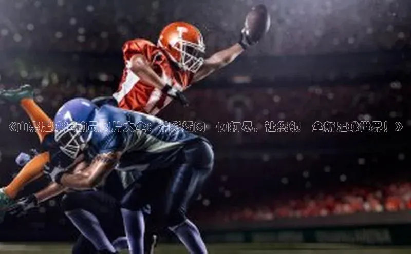 天辰平台用户登录入口百度网盘《山寨足球运动员图片大全：精彩插图一网打尽，让您领畞全新足球世界！》