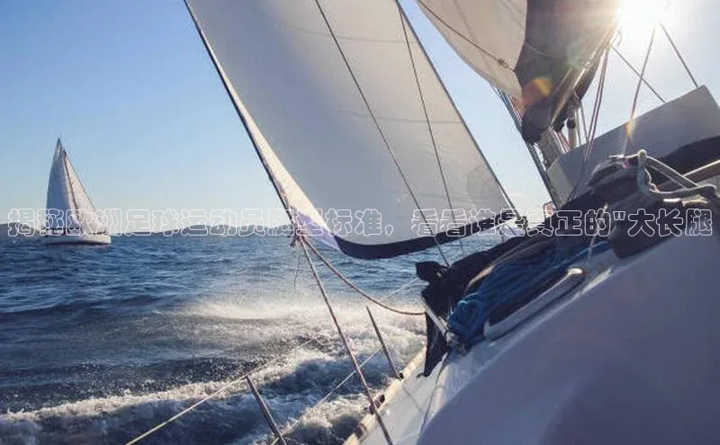 天辰登录连接金山办公揭秘欧洲足球运动员腿型标准，看看谁是真正的\