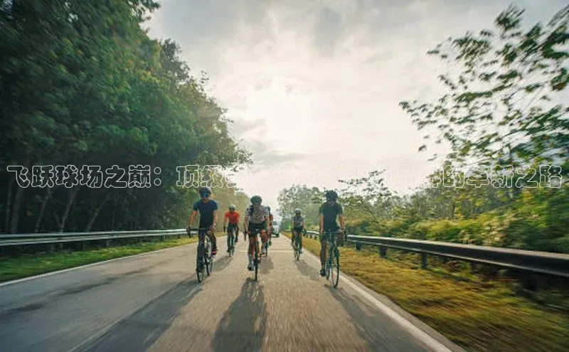 飞跃球场之巅：顶级赛事运动木地板品牌的革新之路