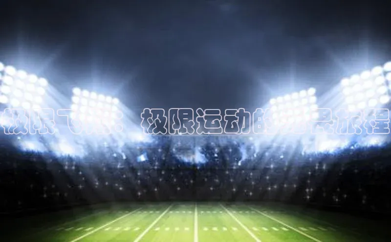 极限飞翔：极限运动的无畏旅程