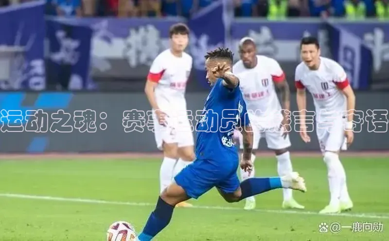 运动之魂：赛事运动员的感言与寄语