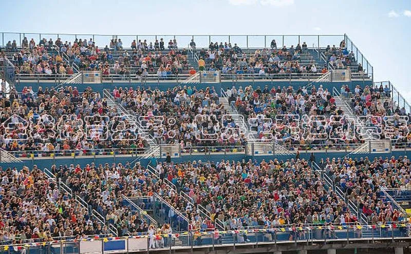 全球体育盛事：世界主要运动赛事