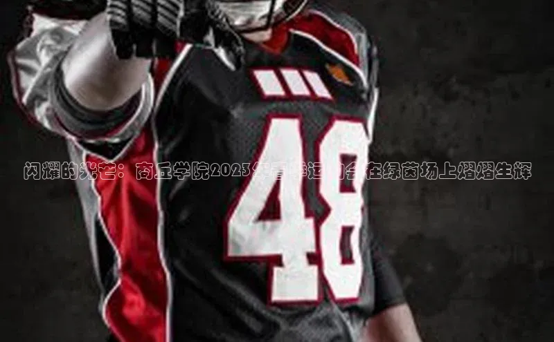 闪耀的光芒：商丘学院2023年春季运动会在绿茵场上熠熠生辉