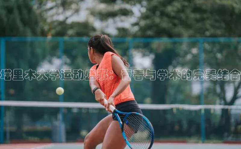 天辰平台app官方下载