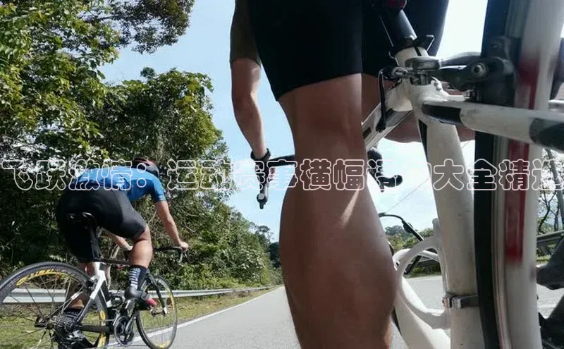 飞跃激情：运动赛事横幅语句大全精选